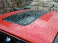 Wassertropfen auf dem Dach meines Sunny
